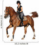 Brunette woman cantering on chestnut horse isolated on white Wall Decal
