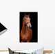 Big brown horse Wall Mural