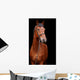 Big brown horse Wall Mural