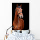 Big brown horse Wall Mural