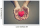 old hands of the elderly giving a red heart Wall Mural
