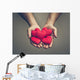 old hands of the elderly giving a red heart Wall Mural