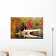 Central Park Bridge Fall Wall Decal
