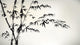 ink painted bamboo Wall Mural
