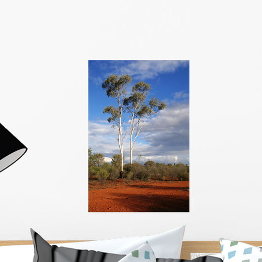 outback australia Wall Mural