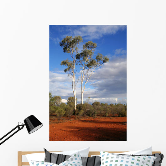 outback australia Wall Mural