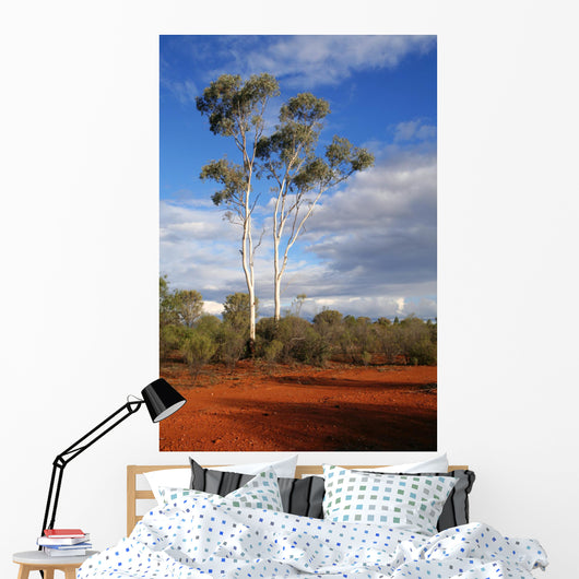 outback australia Wall Mural
