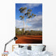outback australia Wall Mural