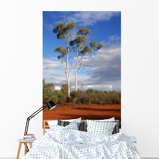 outback australia Wall Mural