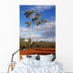 outback australia Wall Mural