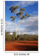 outback australia Wall Mural