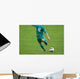 Calcio di punizione Wall Mural