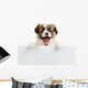 Puppy Papillon with open mouth Wall Decal