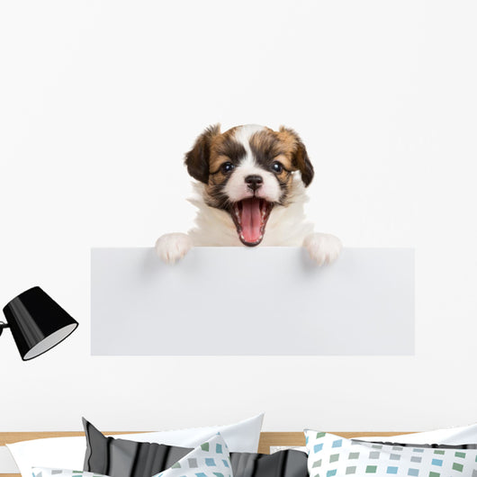 Puppy Papillon with open mouth Wall Decal