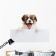 Puppy Papillon with open mouth Wall Decal