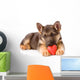 german shepherd love Wall Decal