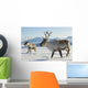 Reindeers Northern Norway Wall Mural