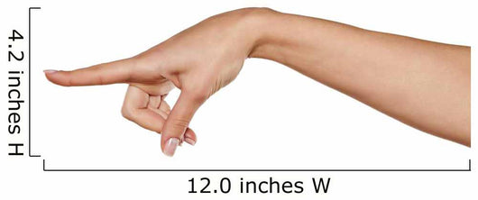 beautiful woman hand pointing a finger in the blank Wall Decal