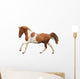 Skewbald Pony Galloping White