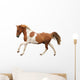 Skewbald Pony Galloping White