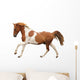 Skewbald Pony Galloping White