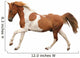 Skewbald Pony Galloping White