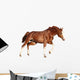 Chestnut Horse Cantering White