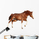 Chestnut Horse Cantering White