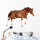Chestnut Horse Cantering White