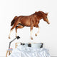 Chestnut Horse Cantering White