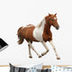 Skewbald Pony Galloping White