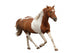 Skewbald Pony Galloping White