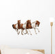 Three Skewbald Horses Galloping