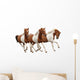 Three Skewbald Horses Galloping