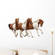 Three Skewbald Horses Galloping