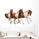Three Skewbald Horses Galloping