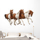 Three Skewbald Horses Galloping