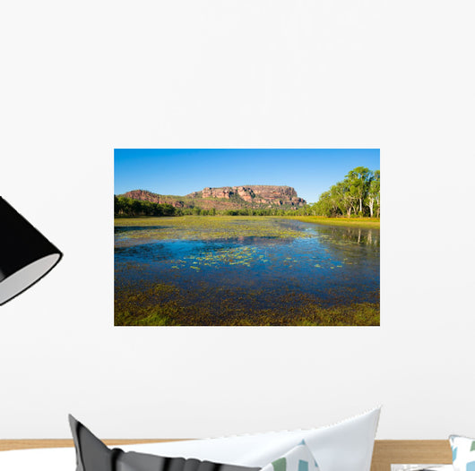 Anbangbang Billabong and Nourlangie Rock, Kakadu, Australia Wall Mural