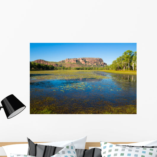 Anbangbang Billabong and Nourlangie Rock, Kakadu, Australia Wall Mural