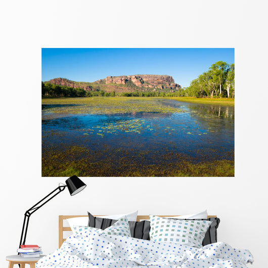 Anbangbang Billabong and Nourlangie Rock, Kakadu, Australia Wall Mural