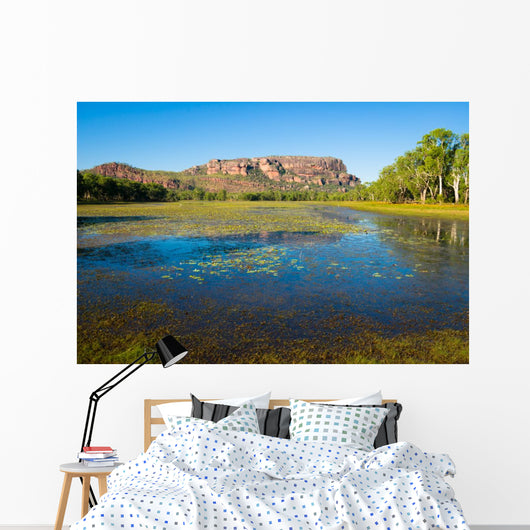 Anbangbang Billabong and Nourlangie Rock, Kakadu, Australia Wall Mural
