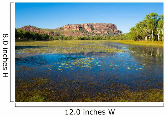 Anbangbang Billabong and Nourlangie Rock, Kakadu, Australia Wall Mural