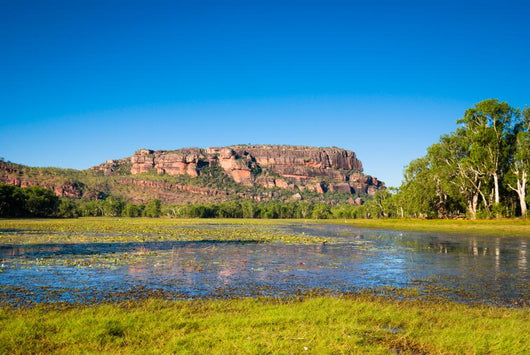 Anbangbang Billabong and Nourlangie Rock, Kakadu, Australia Wall Mural