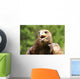Angry Great Eagle with