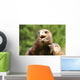 Angry Great Eagle with
