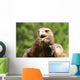 Angry Great Eagle with