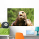 Angry Great Eagle with