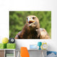 Angry Great Eagle with