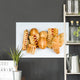 Pastry