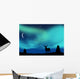 Aurora Borealis
